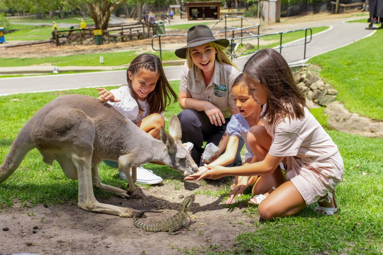 Currumbin Wildlife Sanctuary Gold Coast Ticket - image 2
